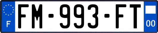 FM-993-FT