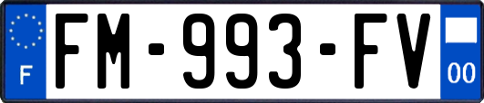FM-993-FV