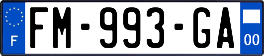 FM-993-GA