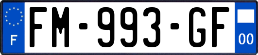 FM-993-GF
