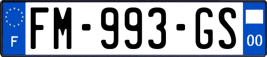 FM-993-GS