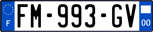 FM-993-GV