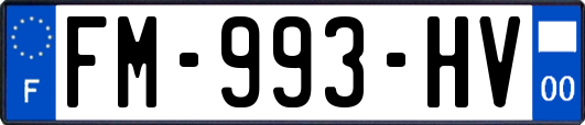 FM-993-HV