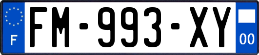 FM-993-XY