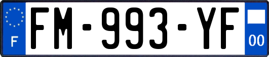 FM-993-YF