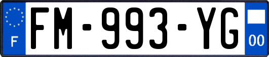 FM-993-YG