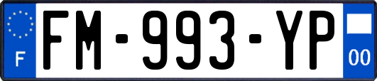 FM-993-YP