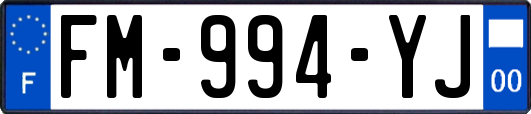 FM-994-YJ