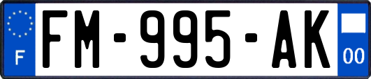 FM-995-AK