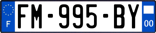 FM-995-BY