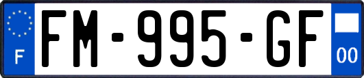 FM-995-GF