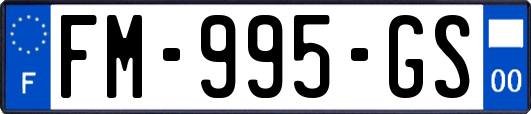 FM-995-GS