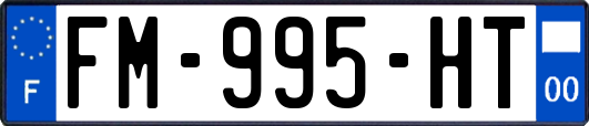 FM-995-HT