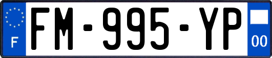FM-995-YP
