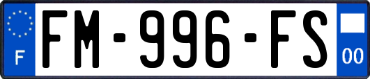 FM-996-FS