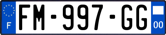 FM-997-GG