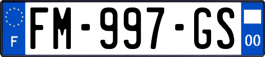 FM-997-GS