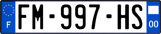 FM-997-HS