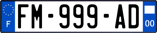 FM-999-AD