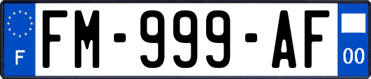 FM-999-AF