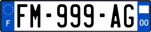 FM-999-AG