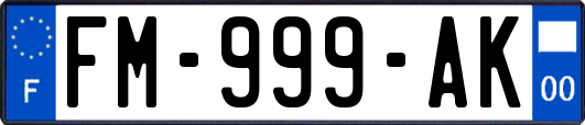 FM-999-AK