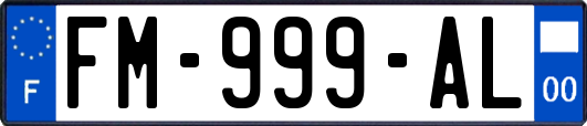 FM-999-AL
