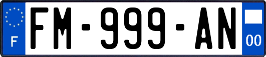 FM-999-AN