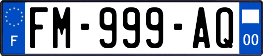 FM-999-AQ