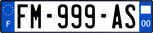 FM-999-AS