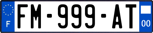 FM-999-AT