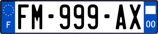 FM-999-AX