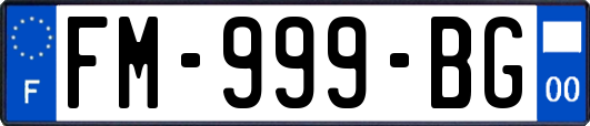 FM-999-BG
