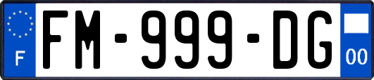 FM-999-DG