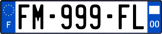 FM-999-FL