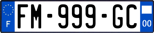 FM-999-GC