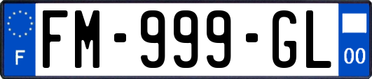 FM-999-GL