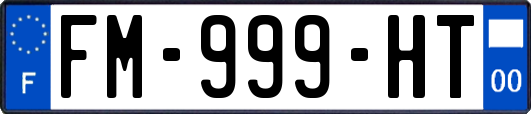 FM-999-HT
