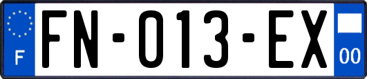 FN-013-EX