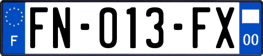 FN-013-FX
