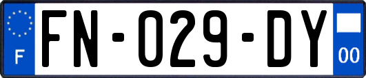 FN-029-DY