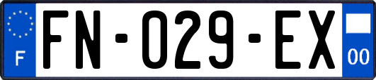 FN-029-EX