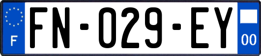 FN-029-EY
