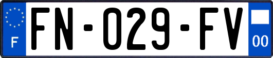 FN-029-FV
