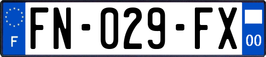 FN-029-FX