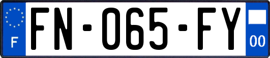 FN-065-FY