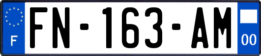 FN-163-AM