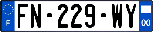 FN-229-WY
