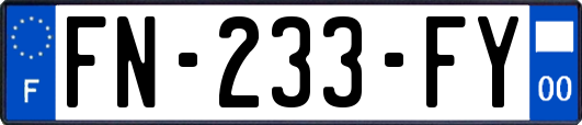 FN-233-FY