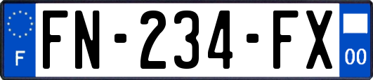 FN-234-FX